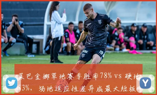 莱巴金娜草地赛季胜率78% vs 硬地53%，场地适应性差异成最大短板