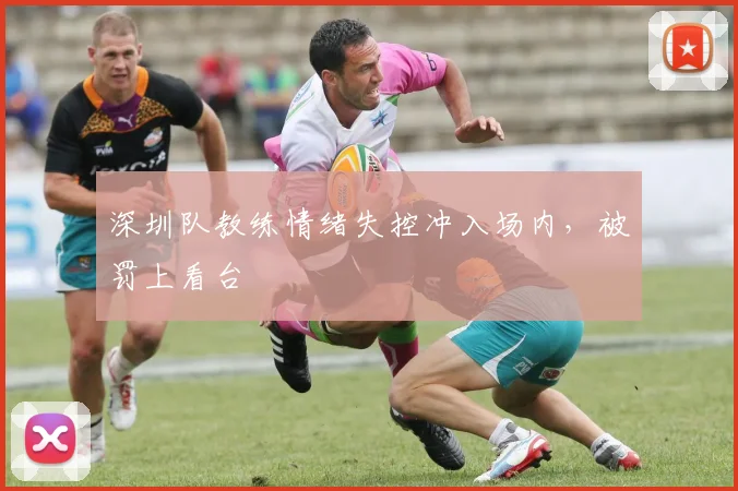 深圳队教练情绪失控冲入场内，被罚上看台